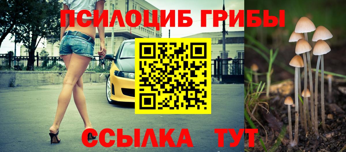 Галлюциногенные грибы MAGIC MUSHROOMS Кашира