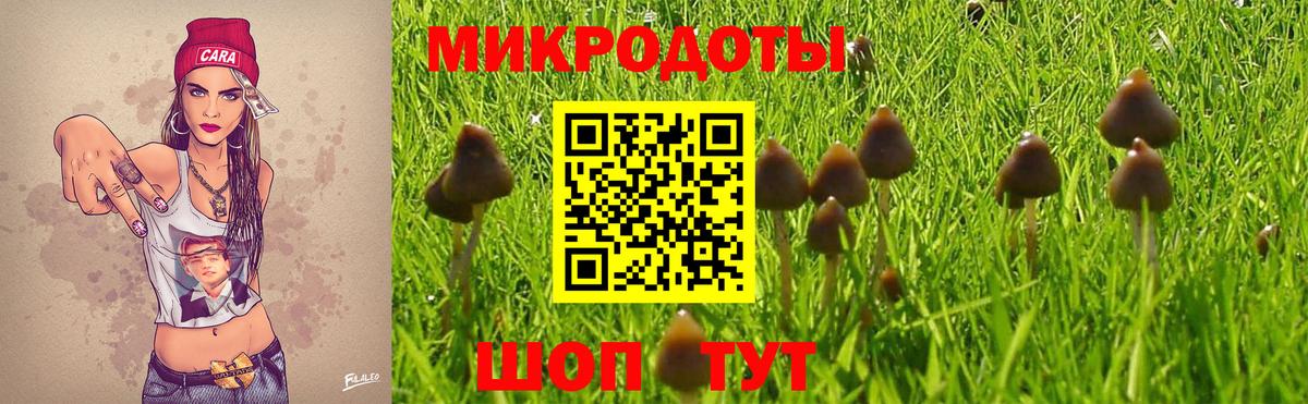 Галлюциногенные грибы Cubensis  Вход с VPN  Кашира 